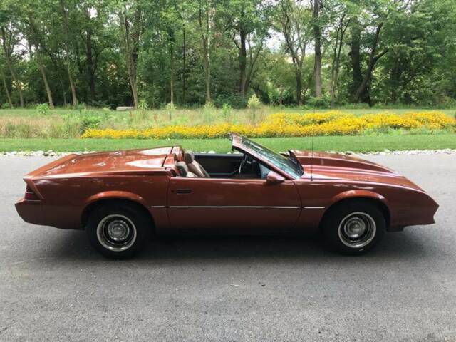 1984 Chevrolet Camaro Berlinetta 2dr Hatchback - photo 6