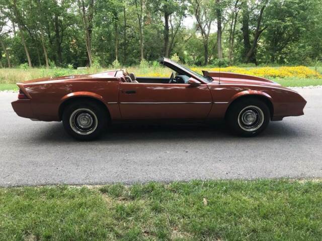 1984 Chevrolet Camaro Berlinetta 2dr Hatchback - photo 7