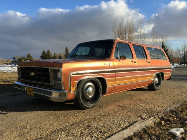 1979 Chevrolet Suburban SILVERADO - photo 5