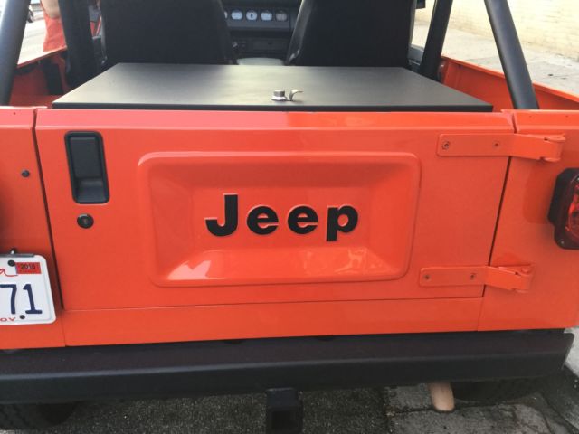 Custom one of a kind 1991 Jeep Wrangler Base Sport Utility 2-Door 4.0L 1991 Jeep Wrangler