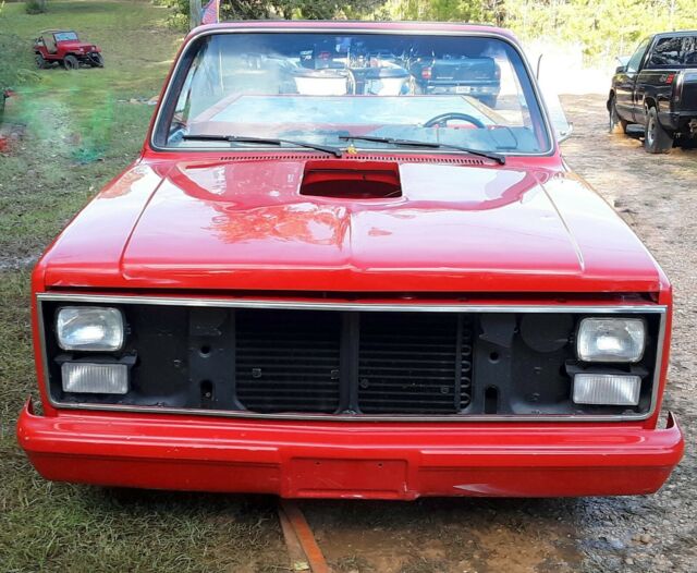 1981 Chevrolet C-10 C-10 C/K 1500 OTHER SIERRA TRUCK CHEVY - photo 7