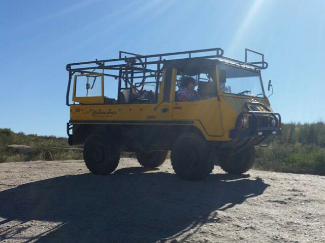 Custom Steyr Daimler Puch Pinzgauer 710M Overland Adventure Edition! 1975 Other Makes Pinzgauer Adventure Time!