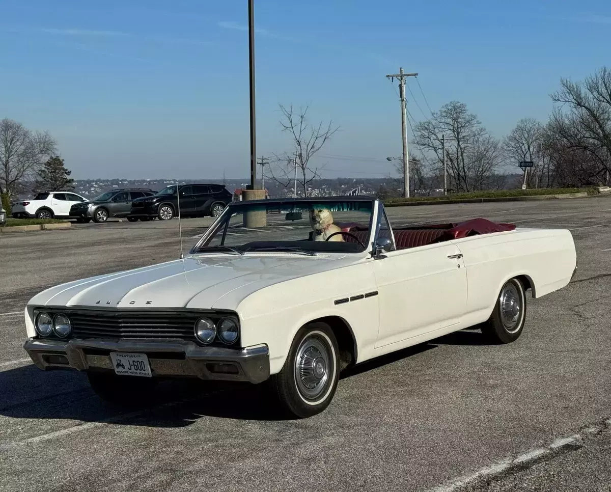 Daily Driver - 225ci Fireball V6 - Transmission - Runs Great 1965 Buick Special Convertible