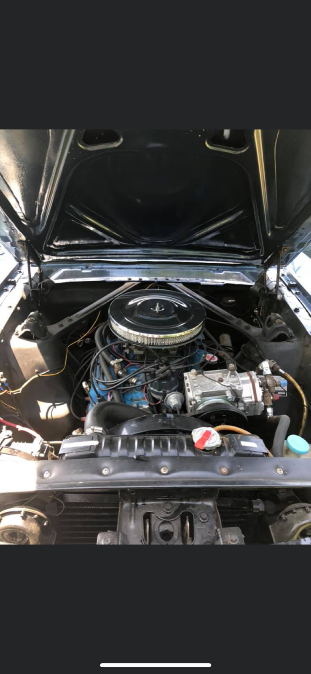 1965 Ford Mustang - photo 4