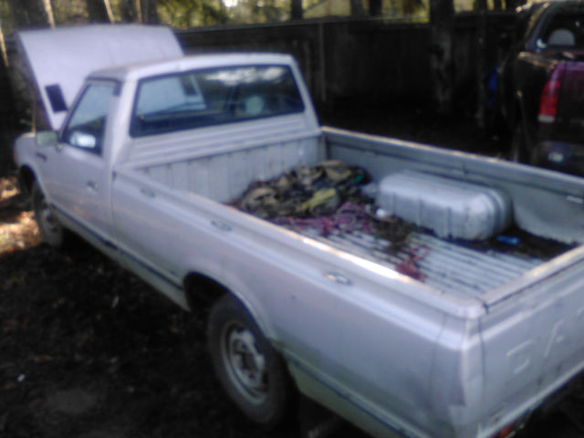 1980 Datsun diesel truck - photo 3