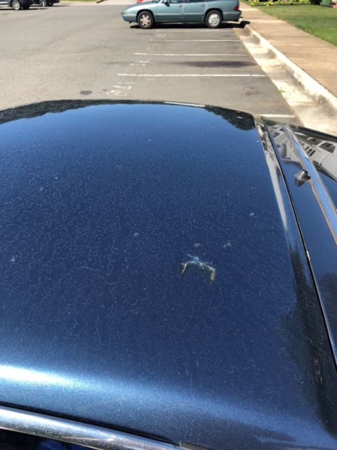 1979 Nissan 280ZX Coupe - photo 8