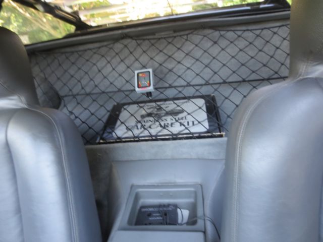 1982 DeLorean DMC-12 DMC stripes - photo 7