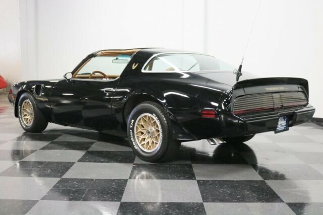 1981 Pontiac Firebird Trans Am - photo 10