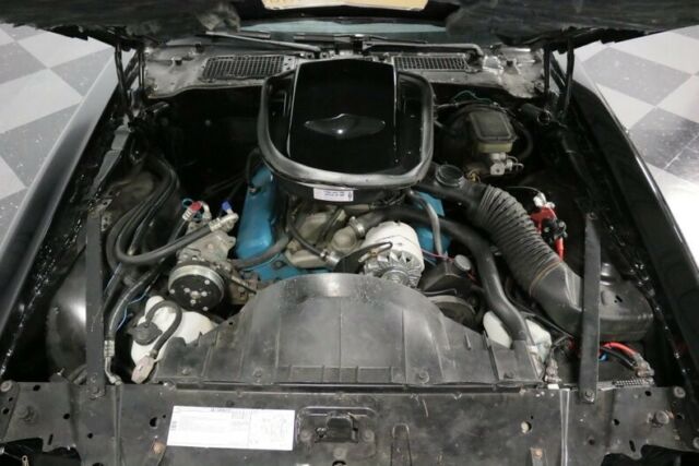1981 Pontiac Firebird Trans Am - photo 4