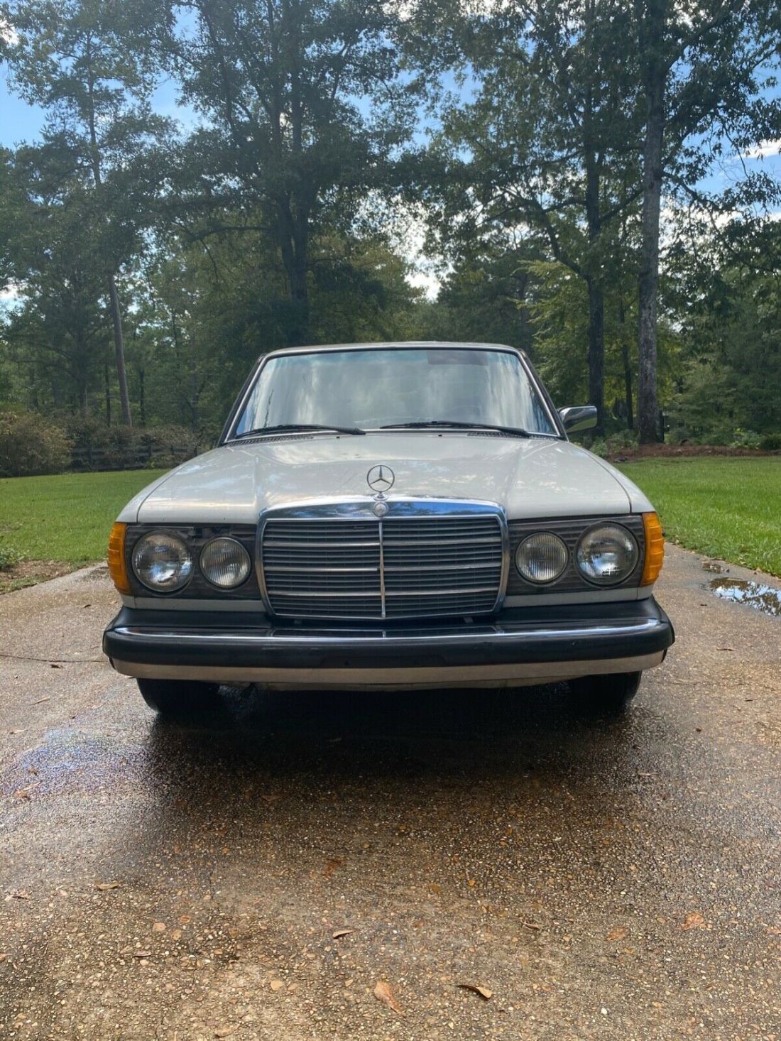 1980 Mercedes-Benz 200-Series - photo 2