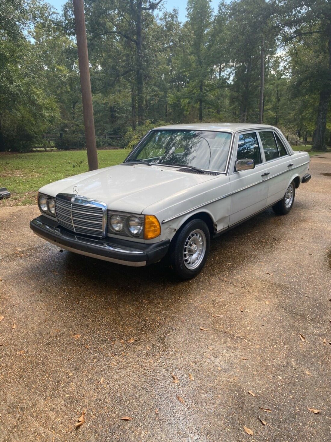 1980 Mercedes-Benz 200-Series - photo 4