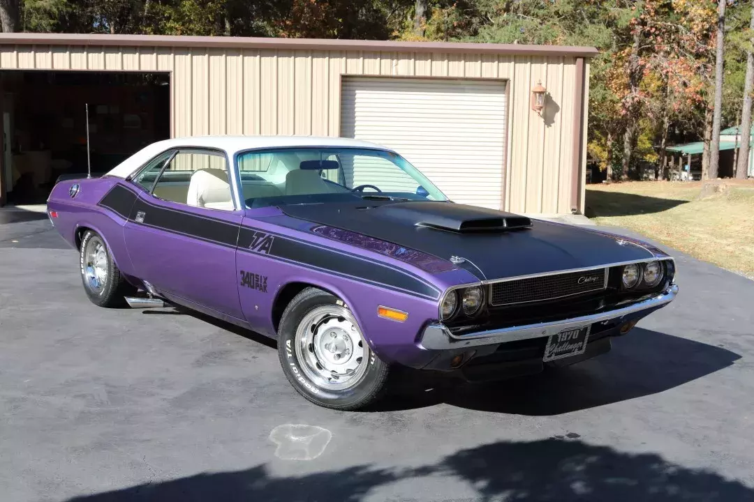Dodge Challenger TA 1970 340 6 Pack 1970 Dodge Challenger