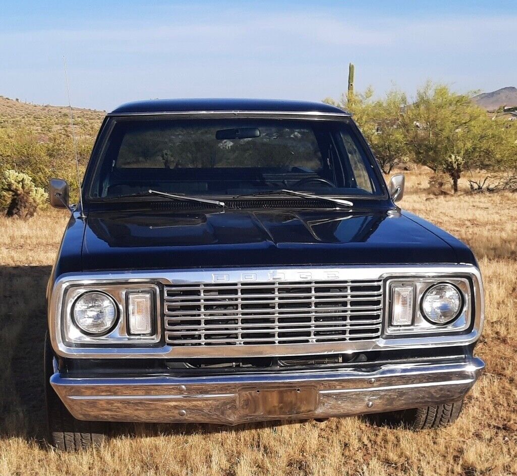 1977 Dodge Other Pickups - photo 3
