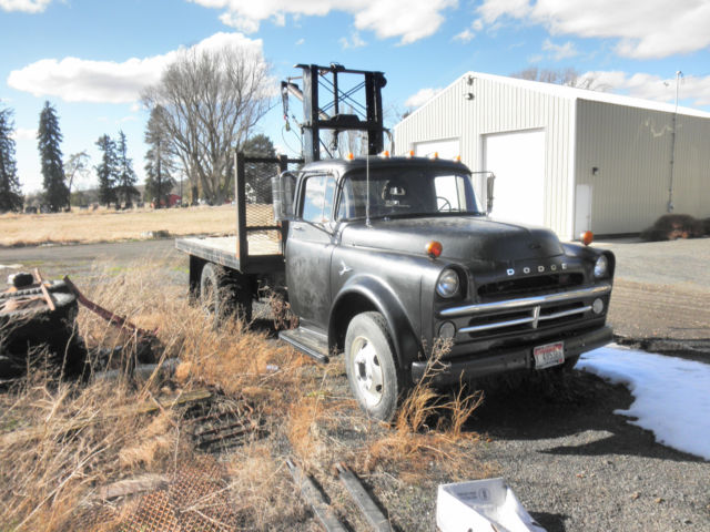 1957 Dodge D400 - photo 2