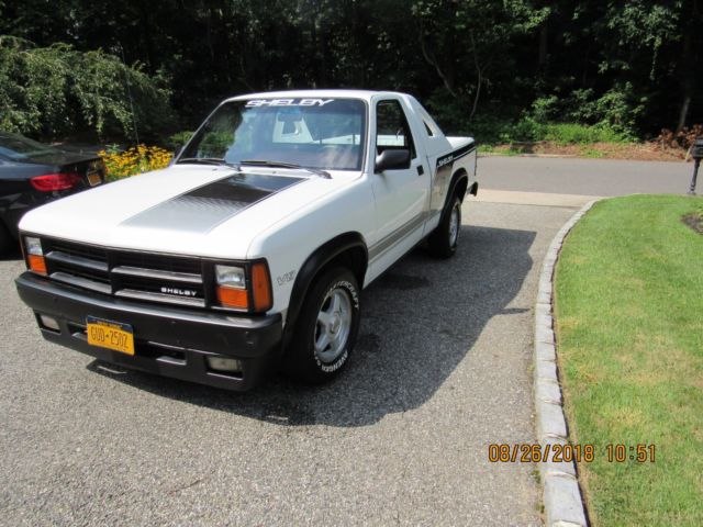 1989 Other Makes SHELBY - photo 6