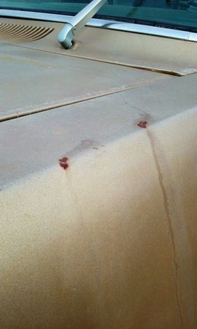 1975 Dodge Power Wagon - photo 10