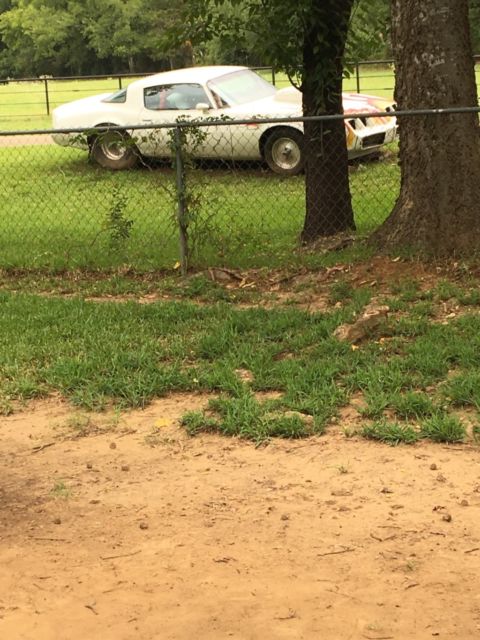 1980 Pontiac Trans Am