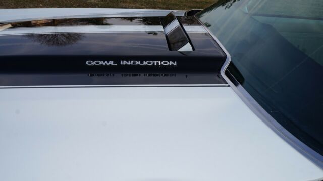 1972 Chevrolet Chevelle SS W code LS5 CHEVELLE - photo 9