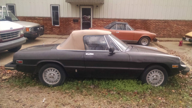 1978 Alfa Romeo Spider