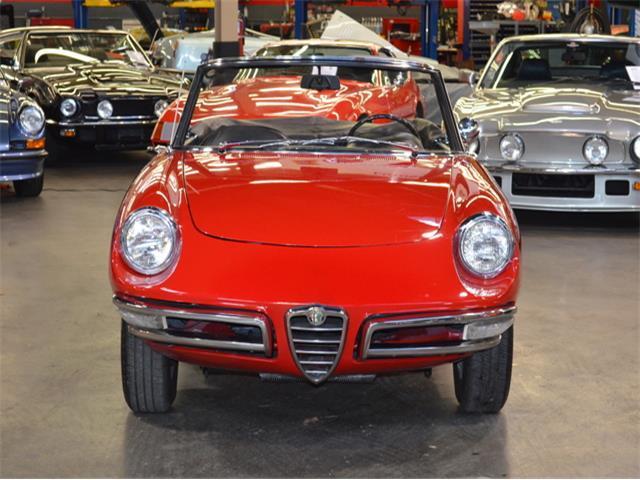 1967 Alfa Romeo Duetto 1600 -- - photo 3