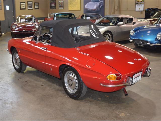 1967 Alfa Romeo Duetto 1600 -- - photo 8