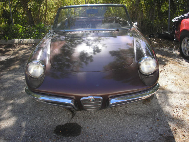 Duetto 1967 1967 Alfa Romeo Alfa Romeo Duetto spider