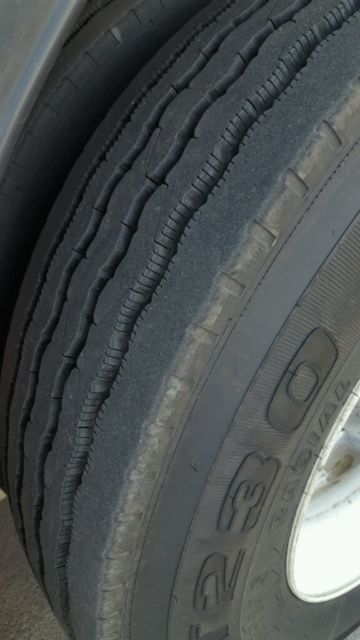 Eagle - photo 10