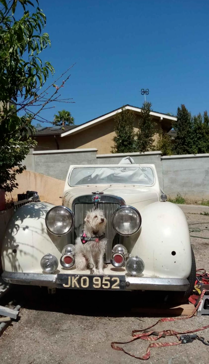 1947 Triumph 1800 - photo 2