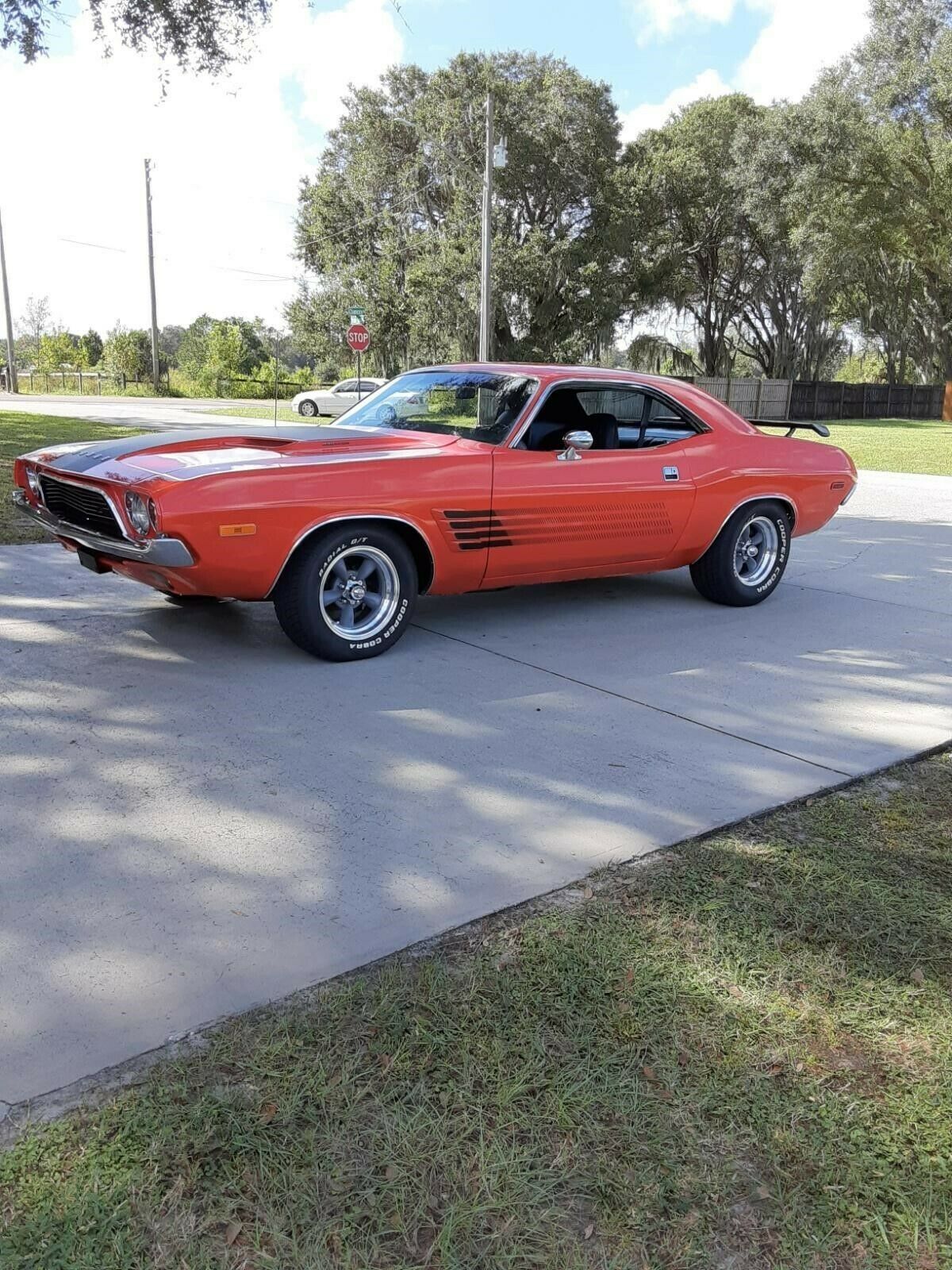 1974 Dodge Challenger - photo 5