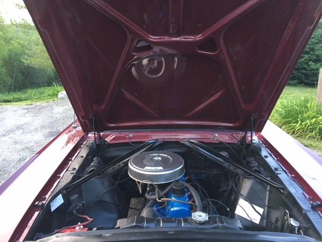 1966 Ford Mustang Sprint 200 - photo 4