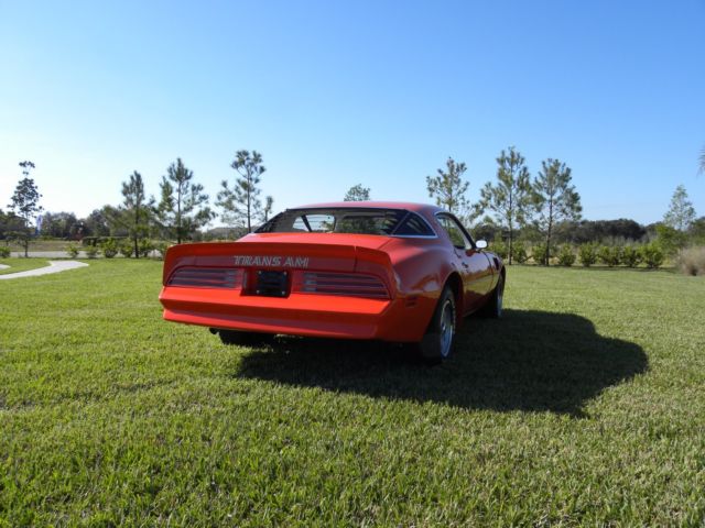 1976 Pontiac Trans Am - photo 5