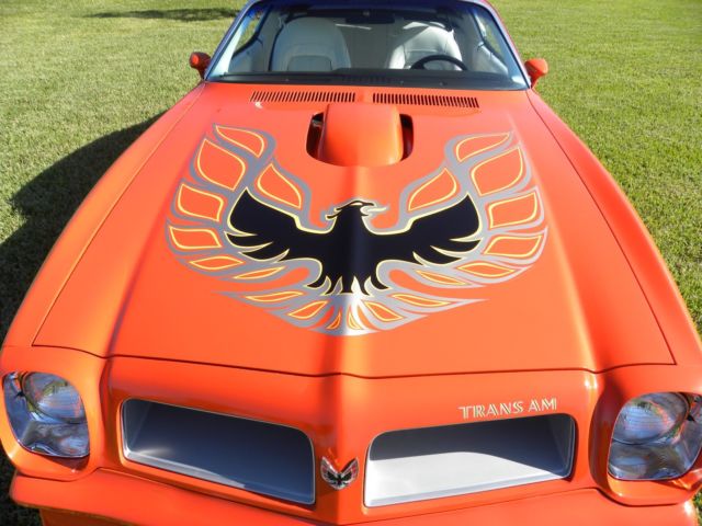 1976 Pontiac Trans Am - photo 7