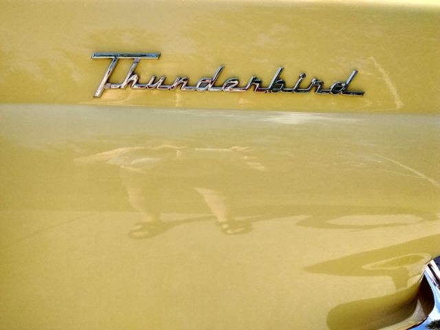 1956 Ford Thunderbird Chrome - photo 6