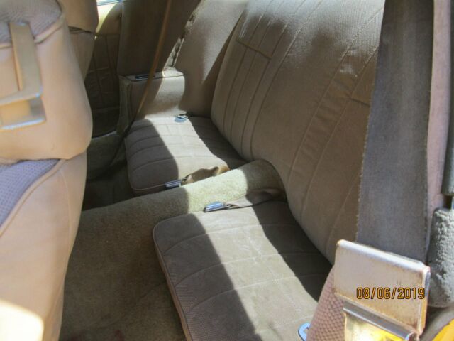 1978 Pontiac Firebird TRANS AM - photo 10