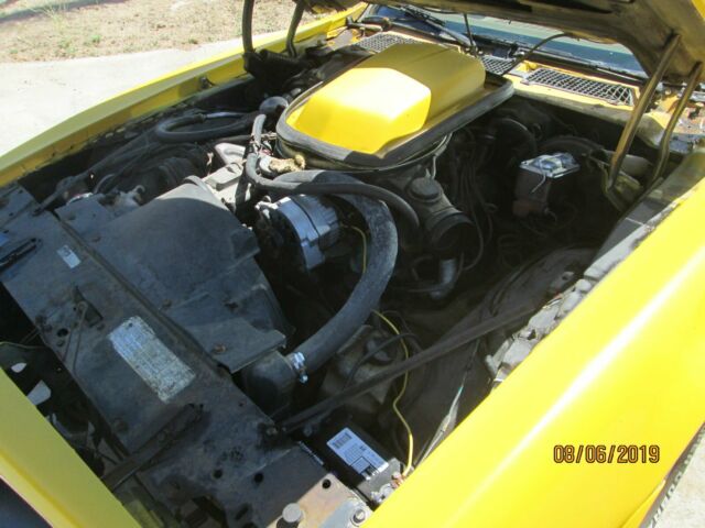 1978 Pontiac Firebird TRANS AM - photo 7
