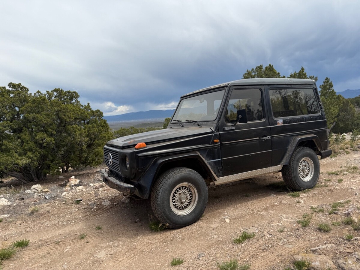1980 Mercedes-Benz G-Class - photo 12