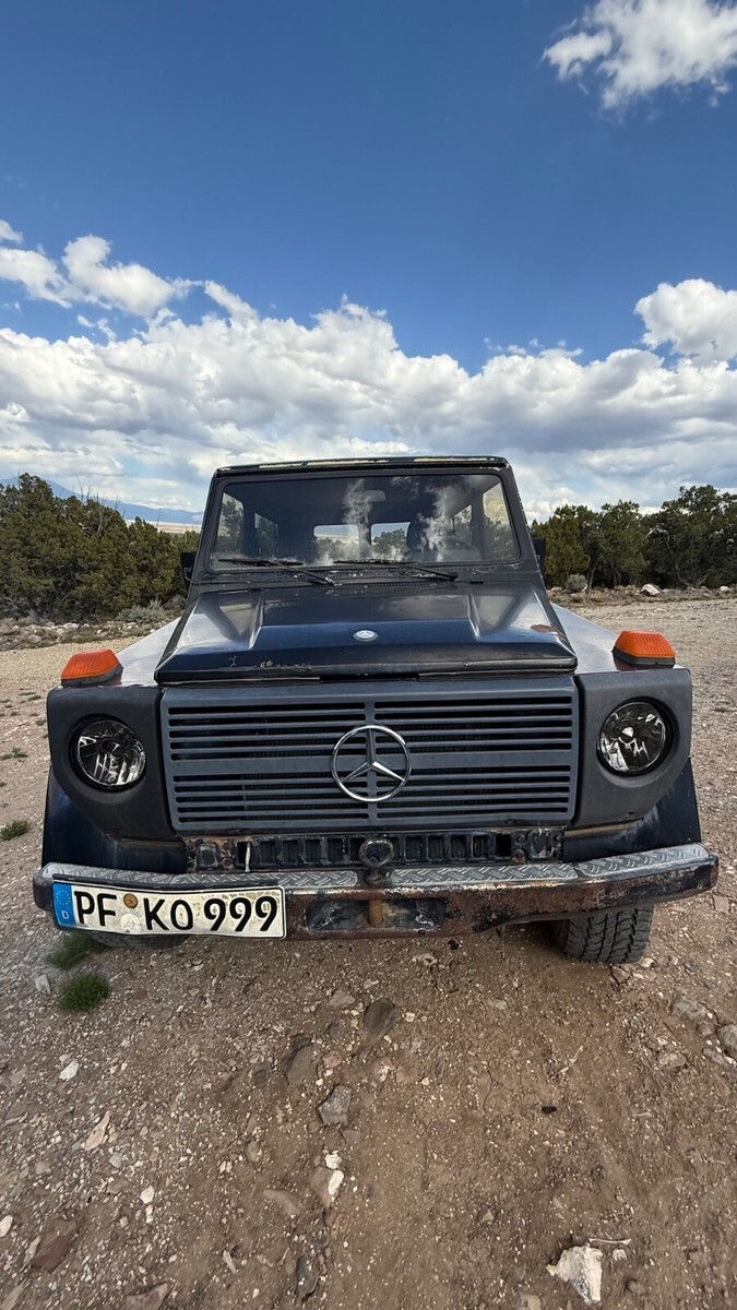 1980 Mercedes-Benz G-Class - photo 3
