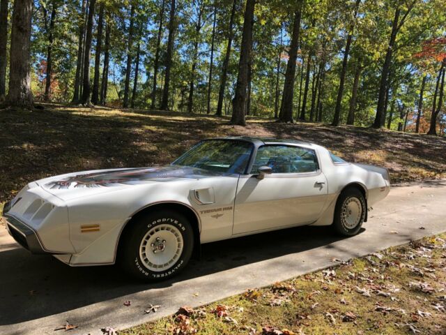 1980 Pontiac Trans Am Indy Pace Car - photo 2