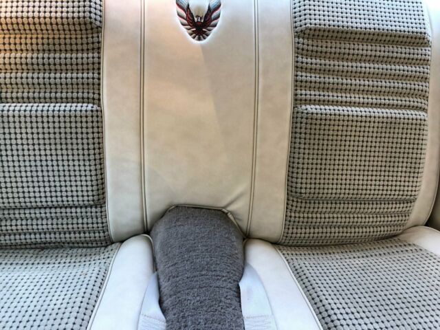 1980 Pontiac Trans Am Indy Pace Car - photo 7