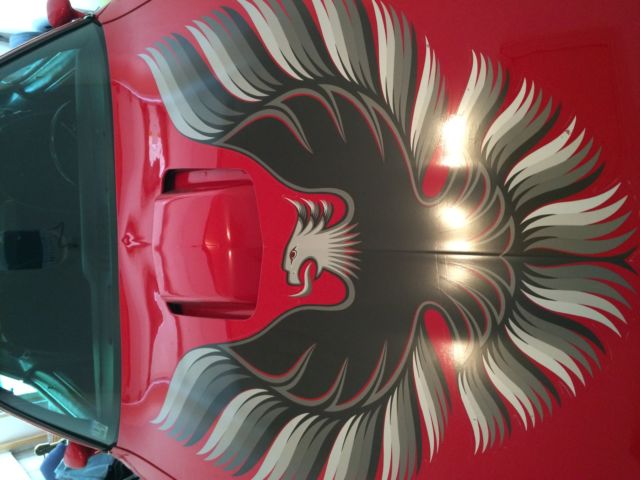 1979 Pontiac Trans Am - photo 2