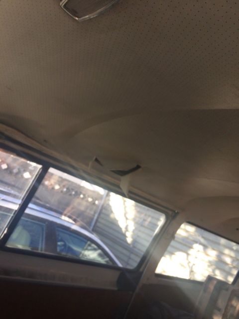 1971 Volkswagen Bus/Vanagon chrome - photo 5