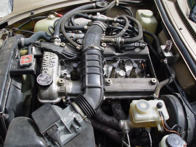 1987 Alfa Romeo Spider Veloce - photo 11