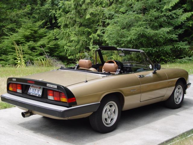 1987 Alfa Romeo Spider Veloce - photo 3