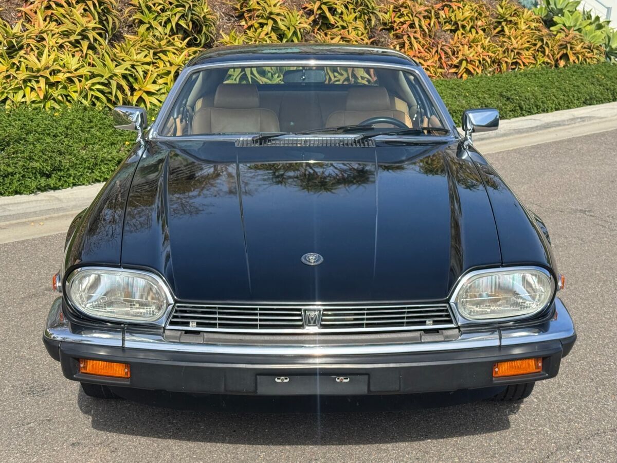 1982 Jaguar XJS V12 - Only 35k Miles - Sable/Biscuit - SoCal - photo 3