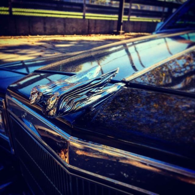 1984 Cadillac DeVille - photo 3