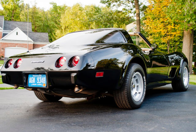 1979 Chevrolet Corvette - photo 3