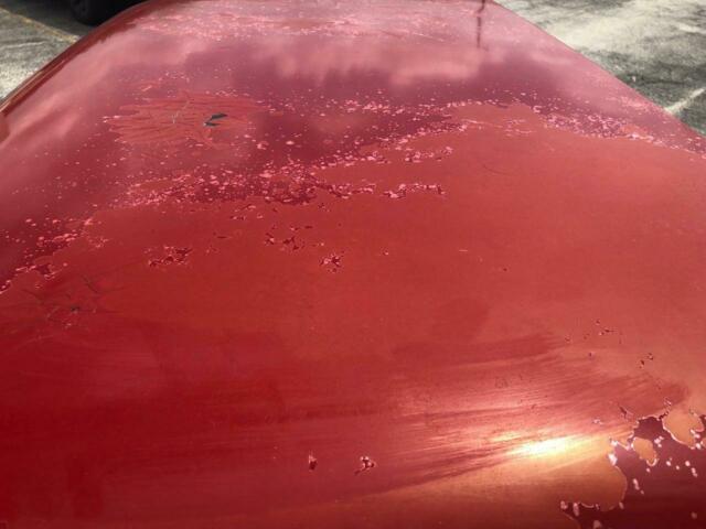 1984 GMC Sierra 1500 - photo 8