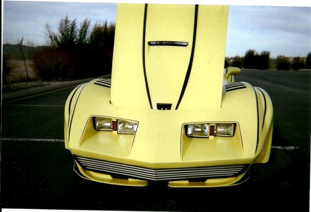 1974 Chevrolet Corvette replica - photo 7