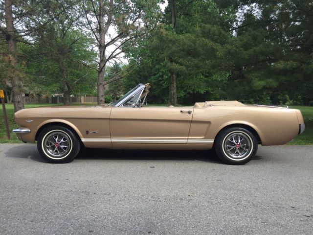 1966 Ford Mustang T5 GT German Export - photo 3