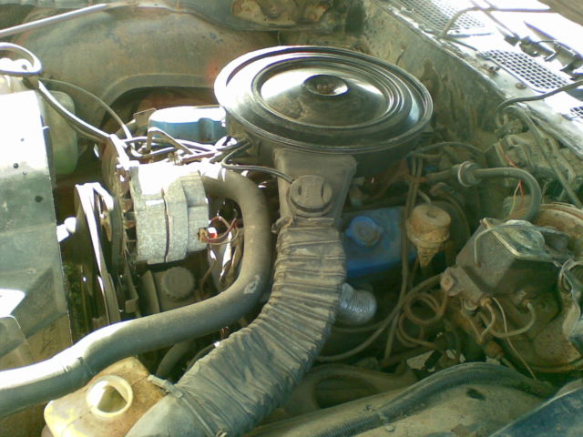 1979 Pontiac Firebird Base Model - photo 10